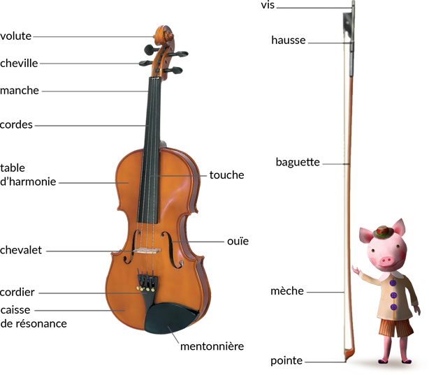 Corde De Violon En 2 Lettres UNLIMITED - VFKIDS - BEETHOVEN